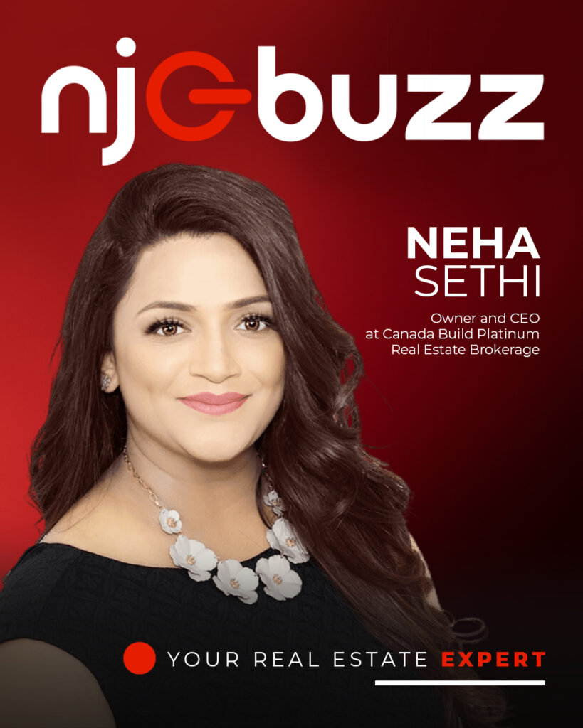 Neha Sethi Journey